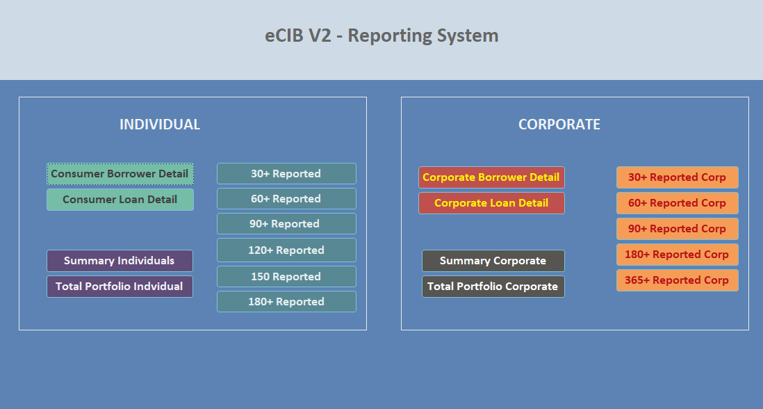 eCIB V2 Reporting System